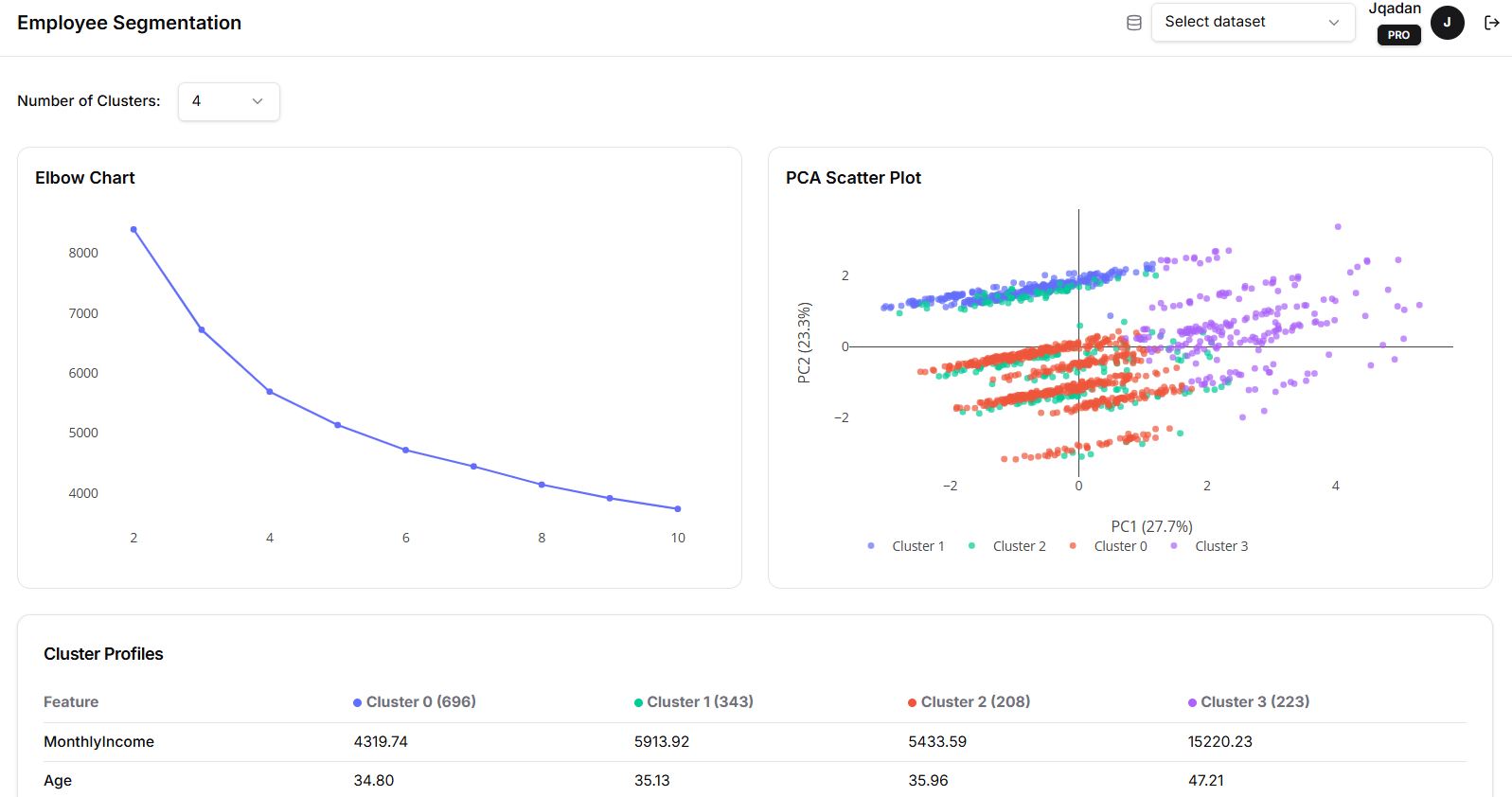 Employee Segmentation showing elbow chart for optimal cluster count, PCA scatter plot with 4 color-coded clusters, and cluster profiles table with MonthlyIncome and Age breakdowns